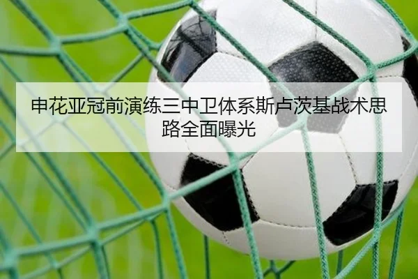 申花亚冠前演练三中卫体系斯卢茨基战术思路全面曝光 | kaiyun